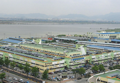 엄궁농산물도매시장